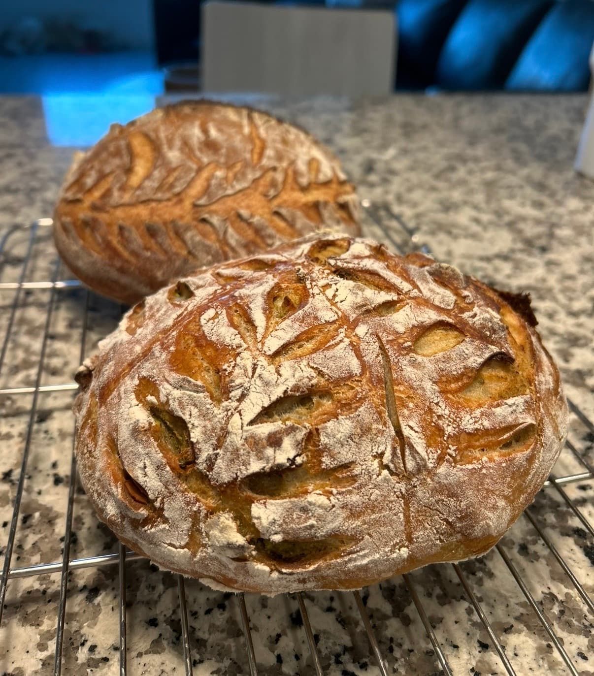 Pistachio Nut Sourdough · Breads & Rolls